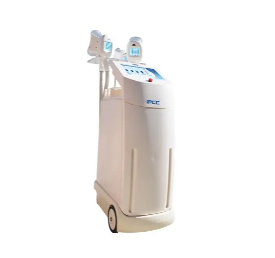 Pmise CR-01 Cryolipolysis